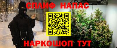 прущие крисы Нальчик