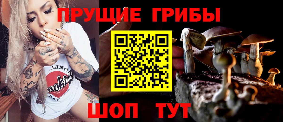 Чехов  Псилоцибиновые грибы Psilocybine cubensis  Вход с VPN 